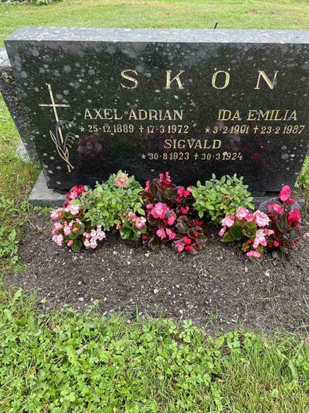 Hautatunnus: N 4 4   500-501