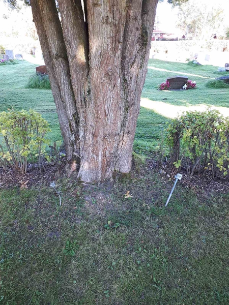 Grave number: NK F B   929-930