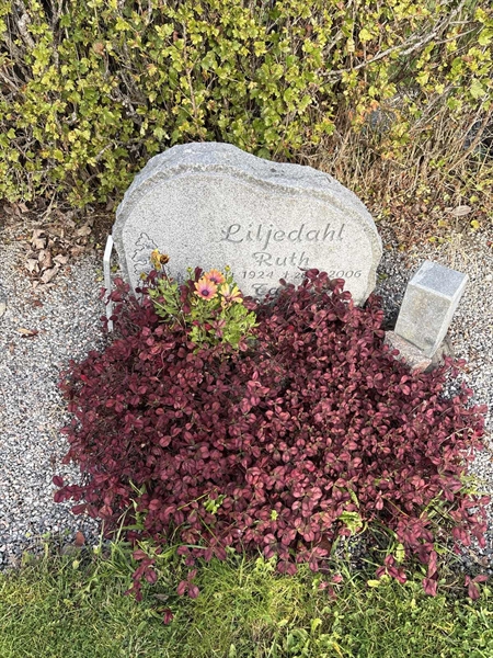 Grave number: 4 N ND   384