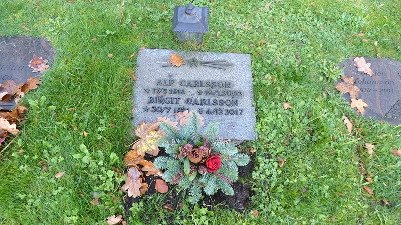 Grave number: SN D   308
