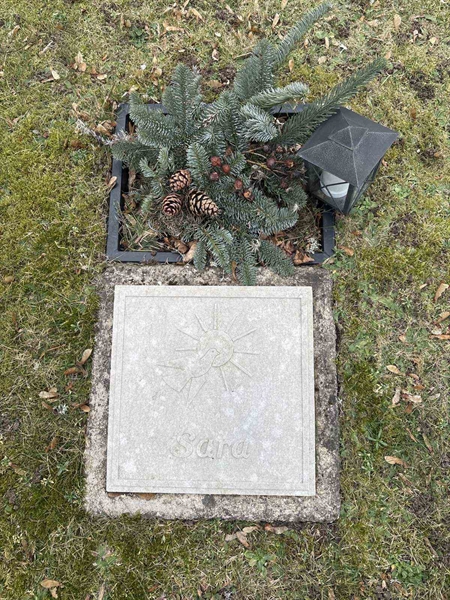 Gravnummer: LE   373