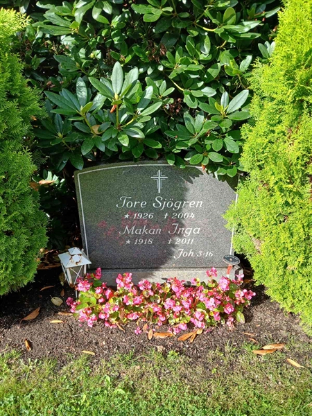 Grave number: ÖB 29    94, 95