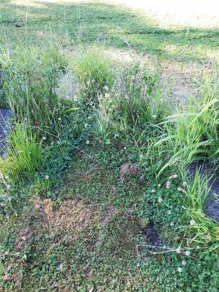 Hautatunnus: GK A 5   164M