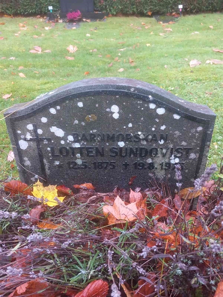 Grave number: M V  122
