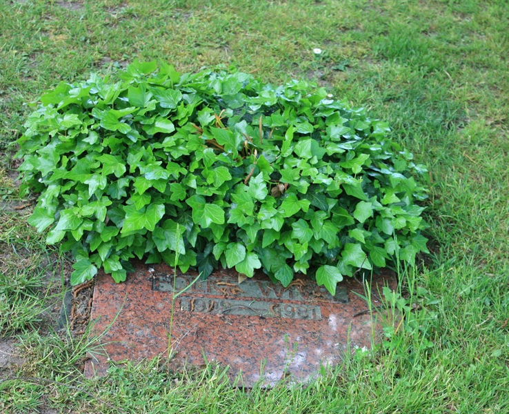 Grave number: Ö 45    90