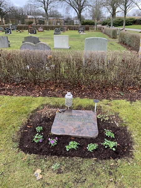 Grave number: SÖ Q    56
