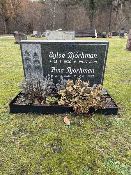 Grave number: L A 107