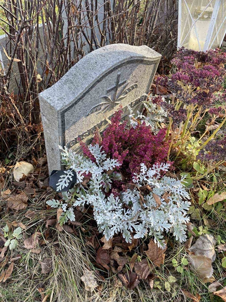 Gravnummer: GK A 3   610