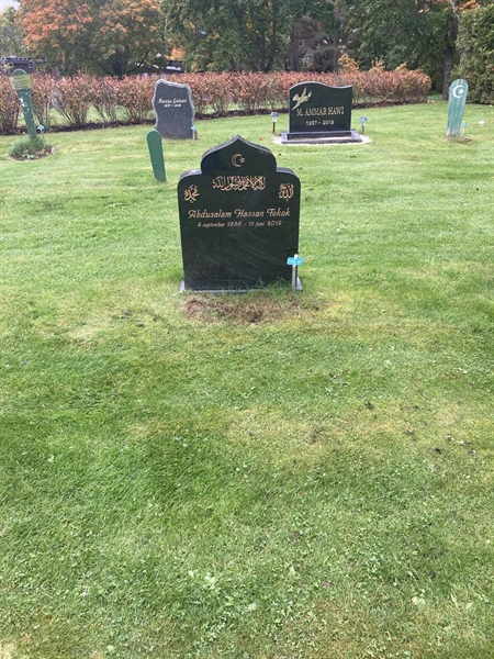 Hautatunnus: 1 3 M/Be    87