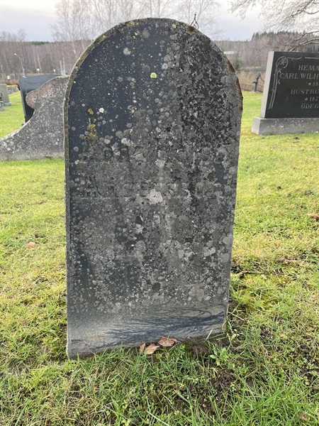 Hautatunnus: Vårv Kv1    99