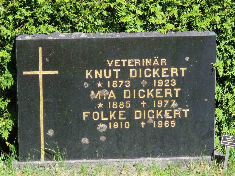 Grave number: HÖB 9   254