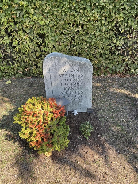 Grave number: NK I:u   225