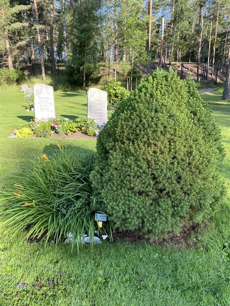 Hautatunnus: 2 C   577-578