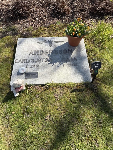 Gravnummer: 22 D   175