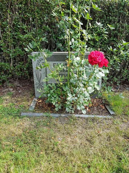 Grave number: 4 M     8-9