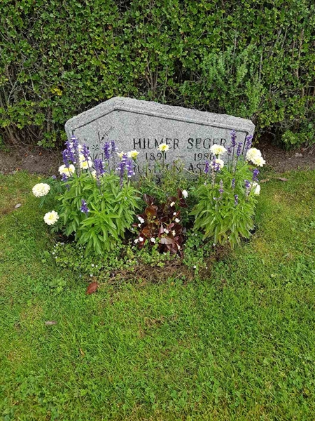 Grave number: 4 M    41