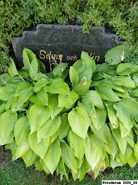 Grave number: 4 H     9