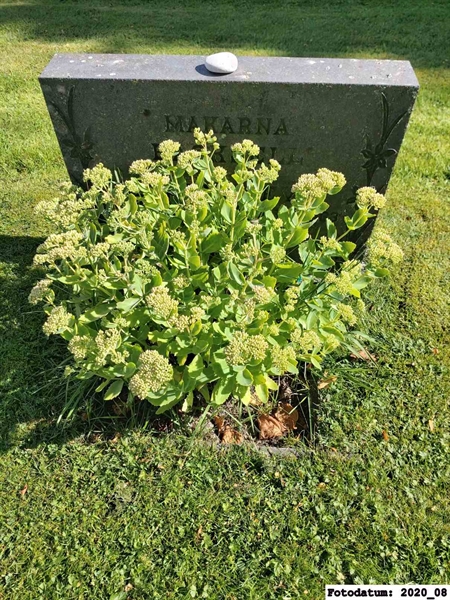 Grave number: 2 F    59