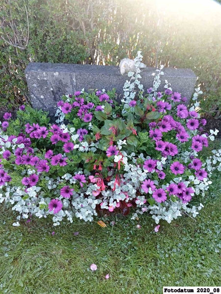 Grave number: 4 M    65