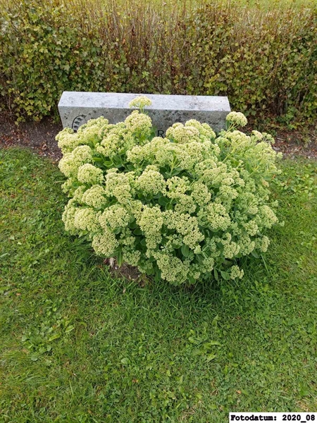 Grave number: 2 G     1B