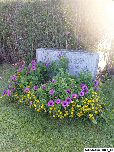 Grave number: 4 M    43-44