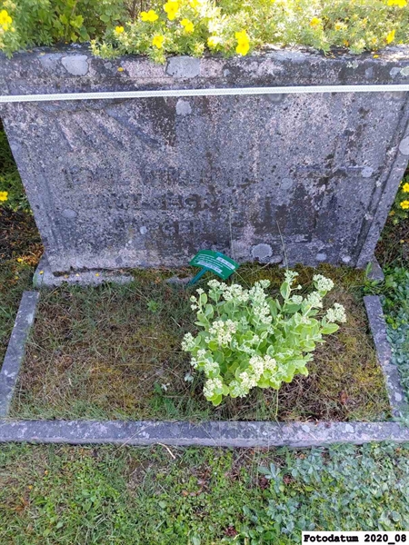 Grave number: 4 H    66