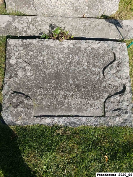 Grave number: 1 N    81