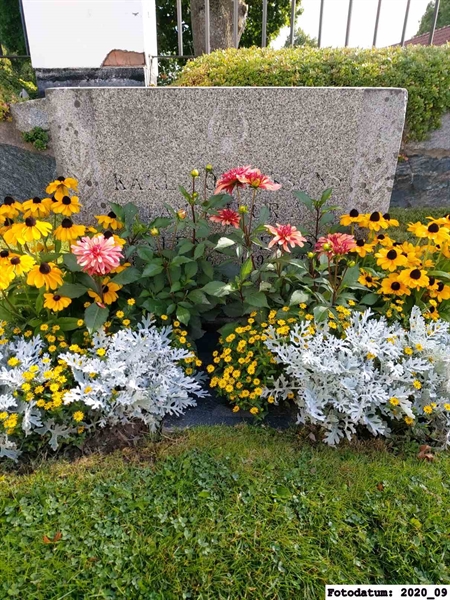 Grave number: 1 N   302