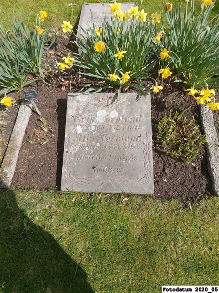 Grave number: 1 H F    60