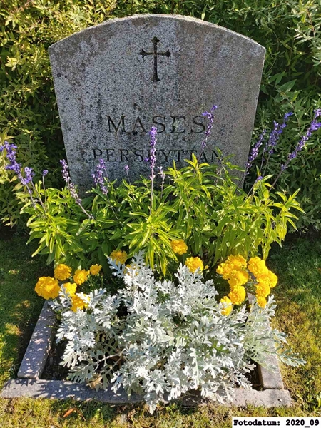 Grave number: 1 N   541-542