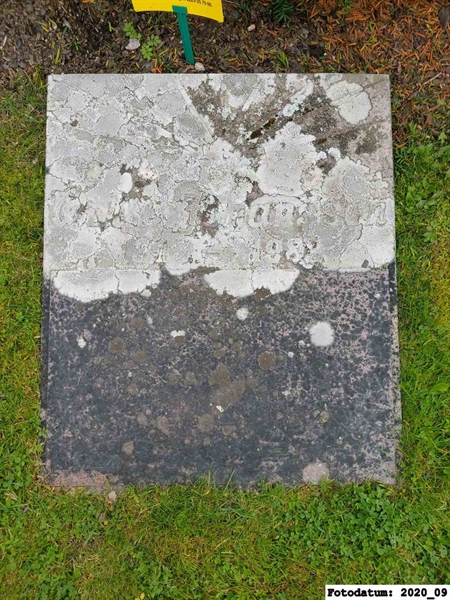 Grave number: 1 N UL   270