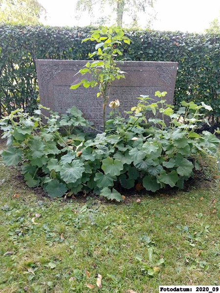 Grave number: 1 Ö 28    45