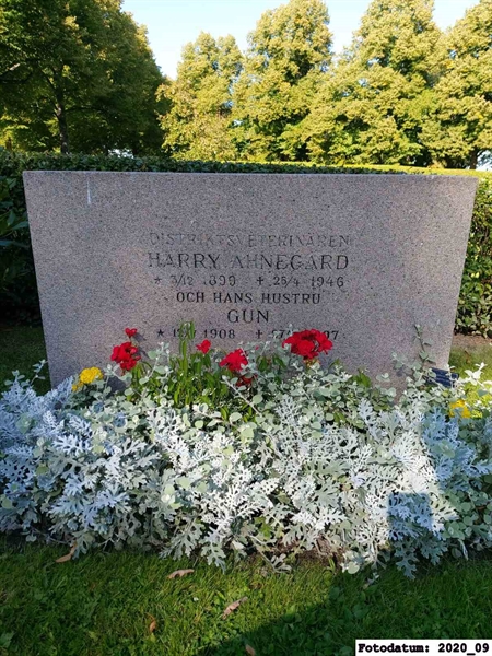 Grave number: 1 Ö 25    20A