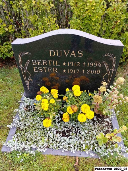 Grave number: 3 C 16    41