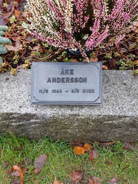 Grave number: 1 AG Båge   101