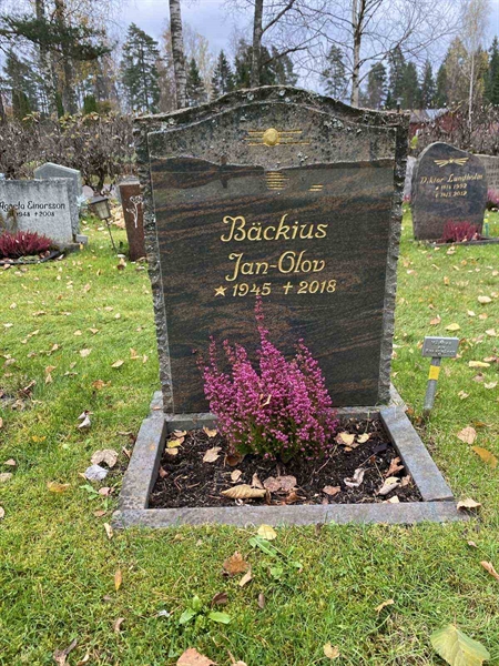 Grave number: 1 29     85