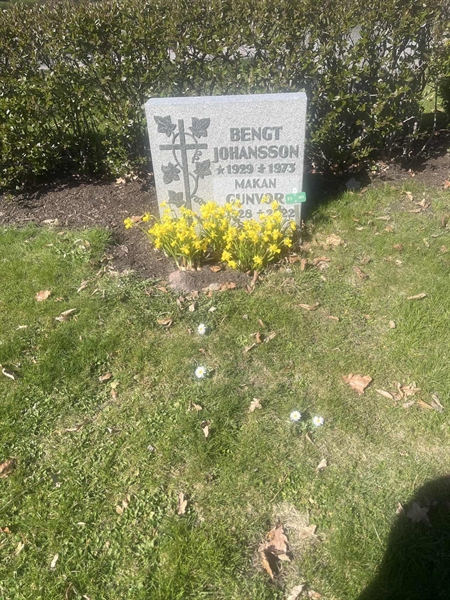 Grave number: 1 3 F1 301