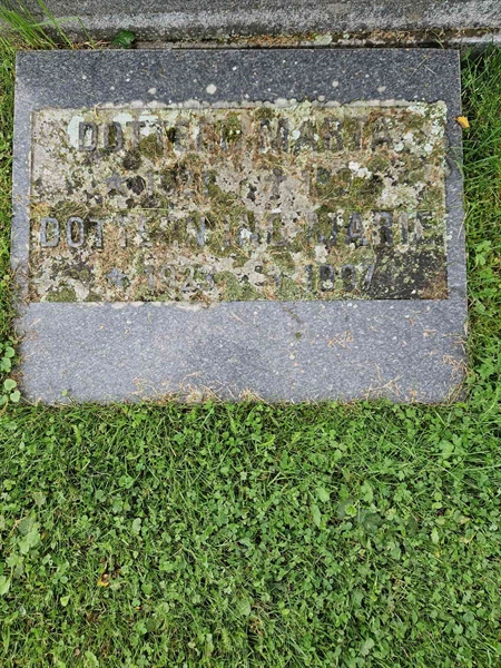 Grave number: 1 03B     9