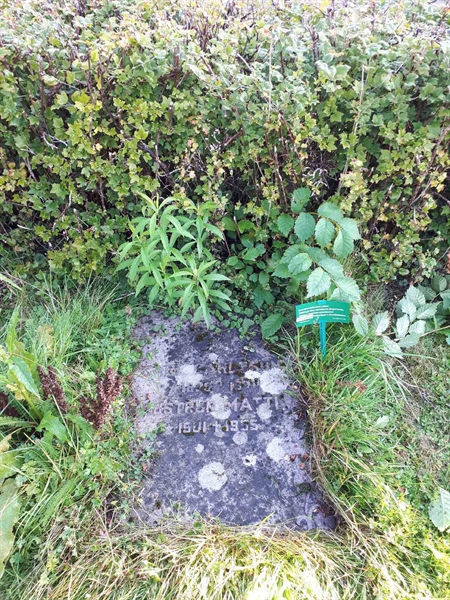 Hautatunnus: NK F G   221