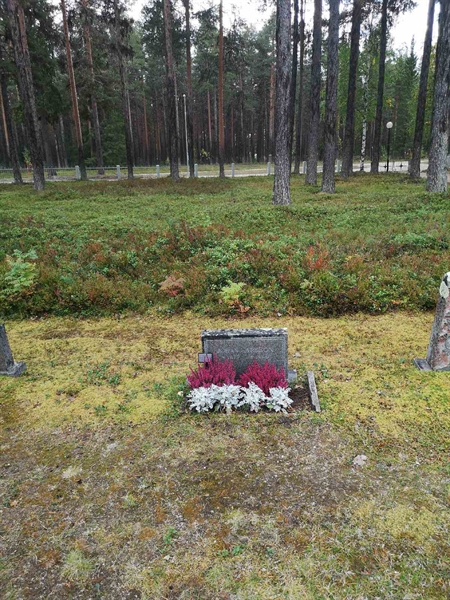 Hautatunnus: VLM 06    12:1