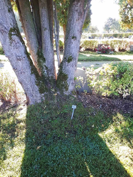 Grave number: NK F B   951-952