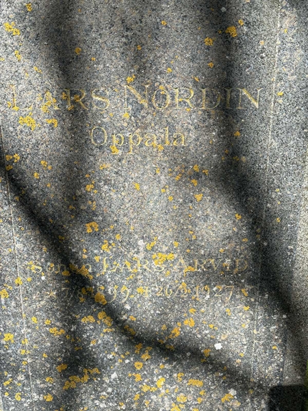 Hautatunnus: H 049 007-07