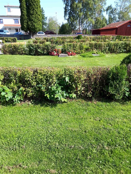 Hautatunnus: NK F G   250