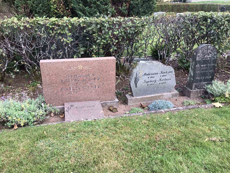 Grave number: 20 C    13-15