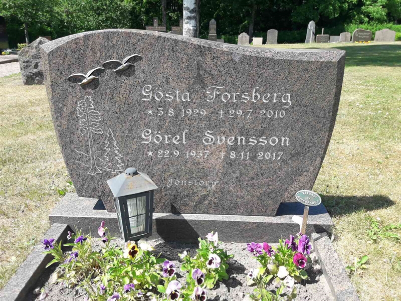 Grave number: TÖ 4   224