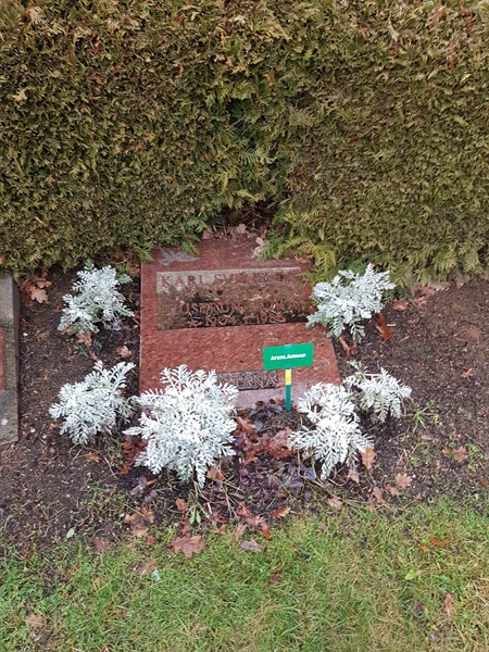 Grave number: ÖB 19    10