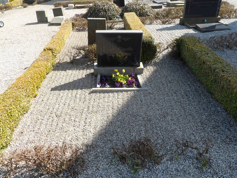 Grave number: VK VIII     2