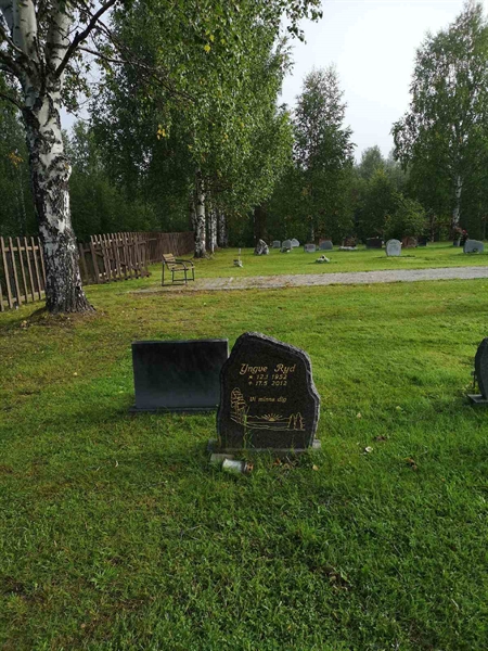 Hautatunnus: NK 20    38