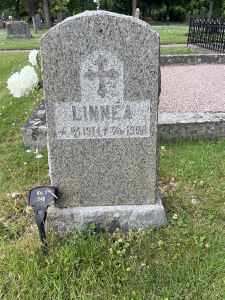 Grave number: 33 1   146