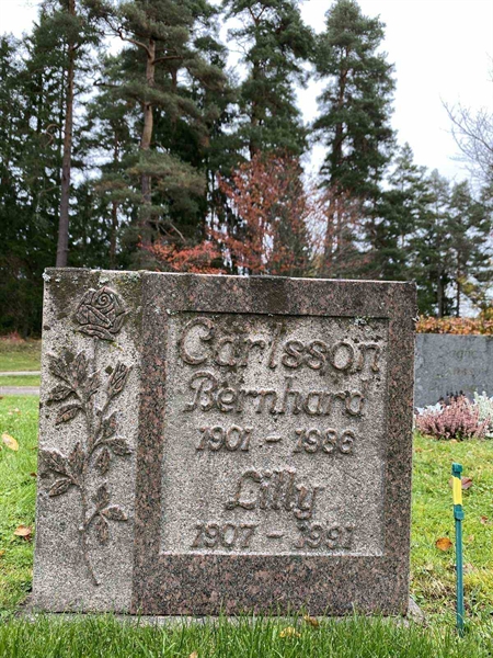 Grave number: 1 24    195